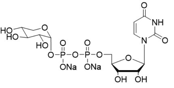 Uridine 5'-diphospho-xylose disodium salt