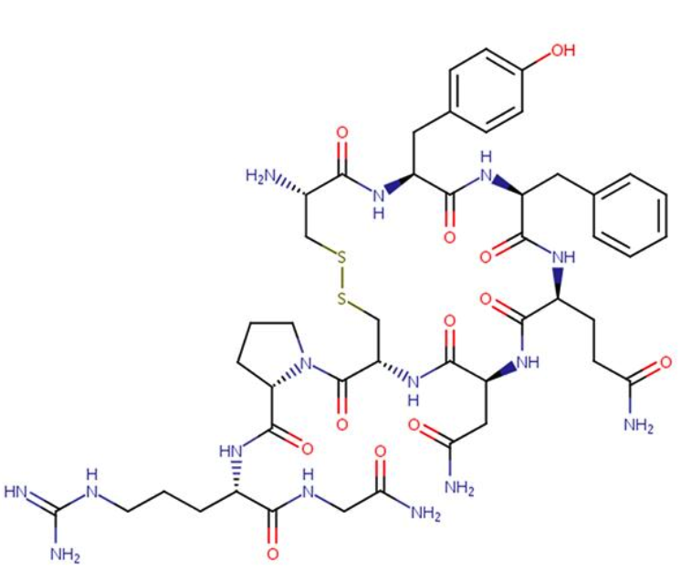 Argipressin Acetate