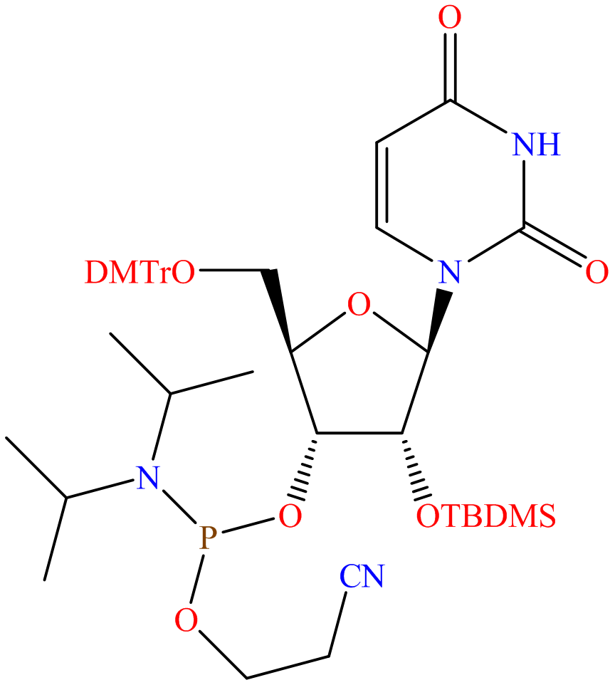 U-OTBDMS-CE phosphoramidite; 5′-Dimethoxytrityl-2′-O-tert-butyldimethylsilyl-uridine-3′-[(-2-cyanoethyl)-(N,N-diisopropyl)]phosphoramidite