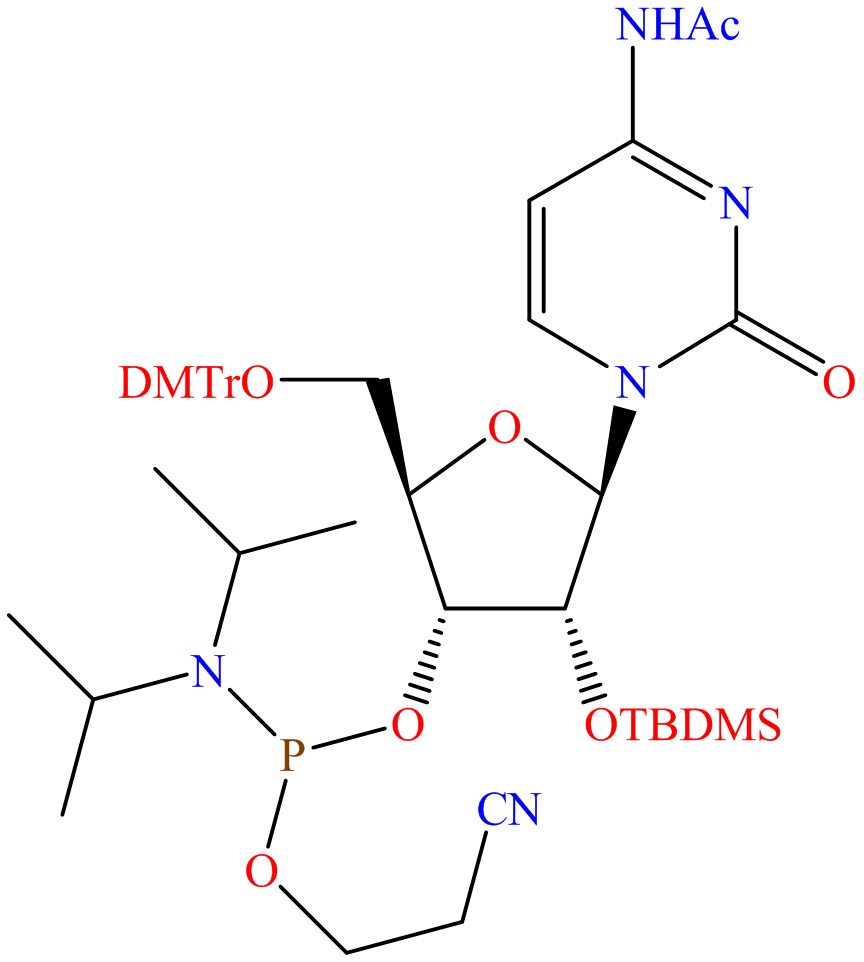 DMT-2'-O-TBDMS-rC(ac) Phosphoramidite