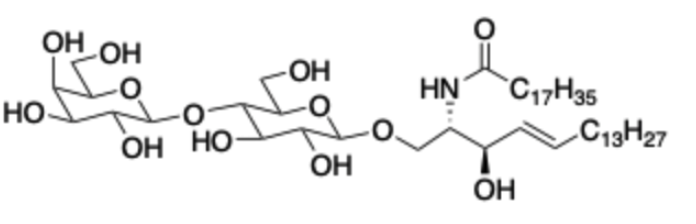 C18 Lactosyl-β-Ceramide