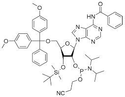 3'-TBDMS-Bz-rA CE phosphoramidite