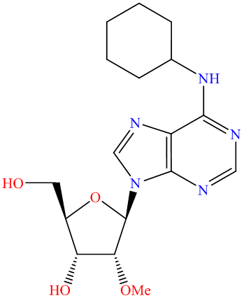 N-cyclohexyl-2'-O-methyladenosine