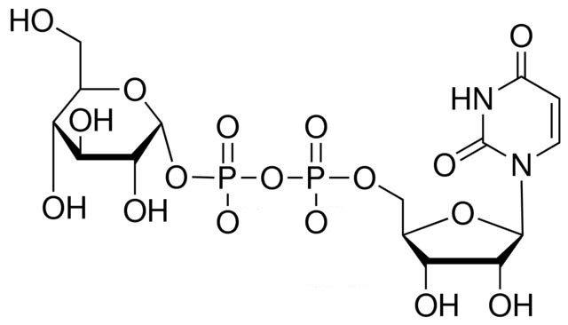 Uridine diphosphate glucose