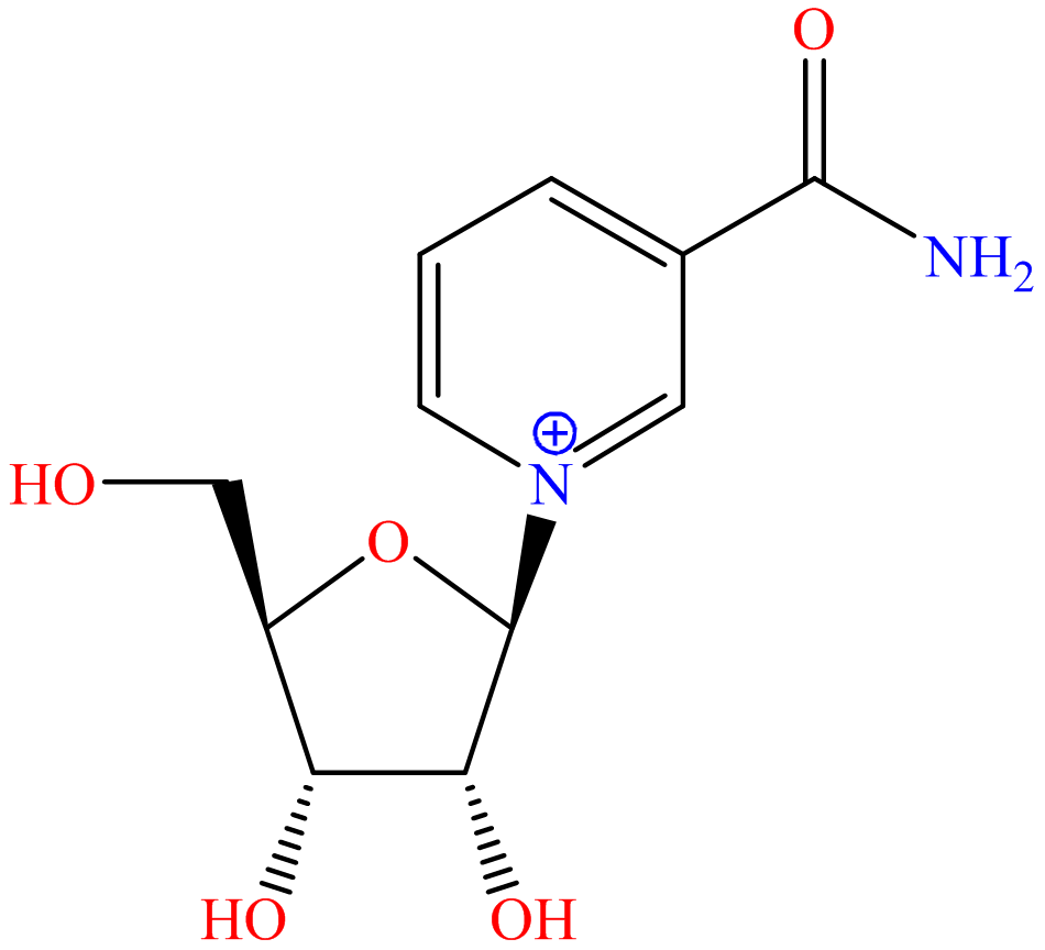 Nicotinamide Riboside