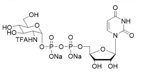 UDP-GlcNTFA.2Na