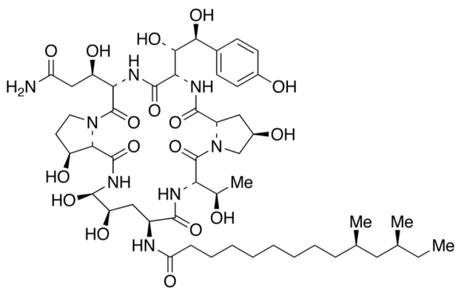 Pneumocandin B0