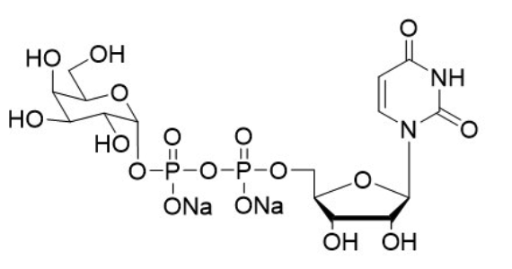 Uridine 5'-diphospho-galactose disodium salt