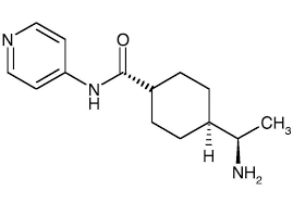 Y-27632 Dihydrochloride