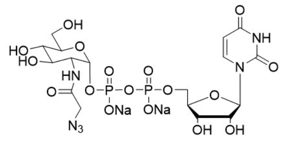 Uridine 5'-disphopho-N-acetylazidoglucosamine disodium salt