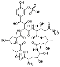 Micafungin FR-179642