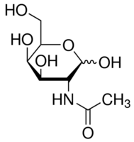 N-Acetyl-D-galactosamine