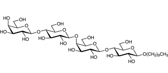 Decyl 4-O-β-D-lactopyranosyl-β-D-lactopyranoside,Lacb(1-4)Lac-β-C10