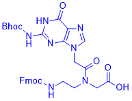 Fmoc-PNA-G(Bhoc)-OH