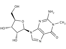 1-Methylguanosine