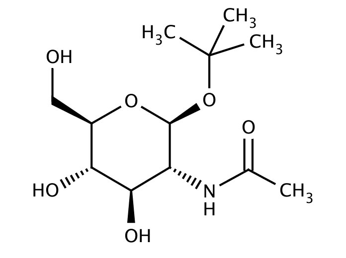 tert-Butyl 2-acetamido-2-deoxy-β-D-glucopyranoside