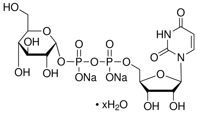 Uridine 5′-diphosphoglucose disodium salt hydrate