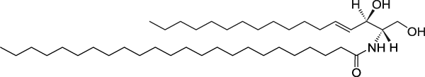 C24 Ceramide (d17:1/24:0)