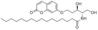 RBM14C16