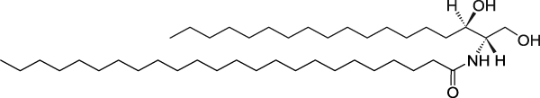 C24 Dihydroceramide (d18:0/24:0)