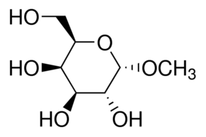 Methyl αlphα-D-GalactopyranosideMonohydrate