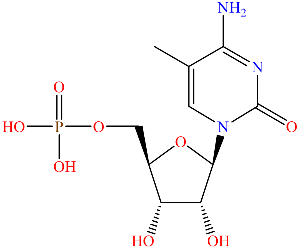 5-Methylcytidine-5'-monophosphate