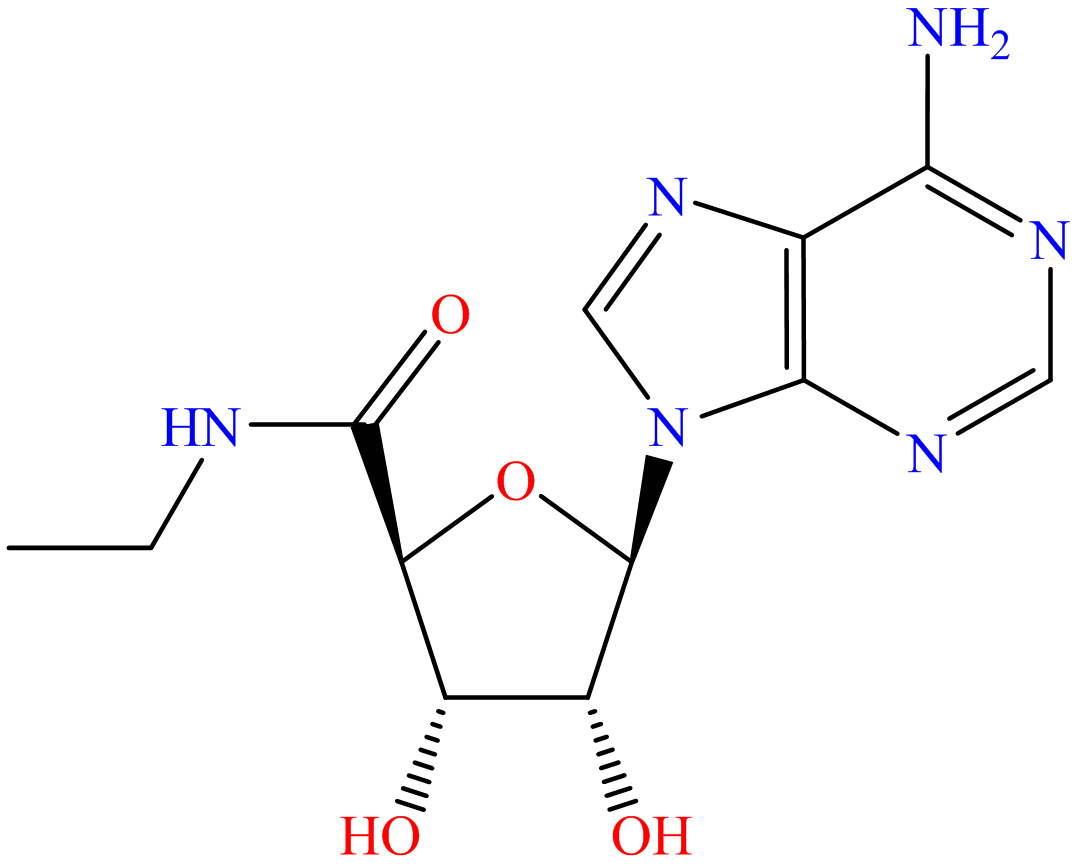 5'-N-Ethylcarboxamidoadenosine;  NECA