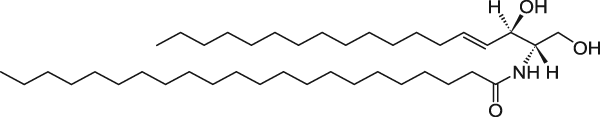 C22 Ceramide (d18:1/22:0)