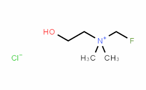 FLUOROCHOLINE