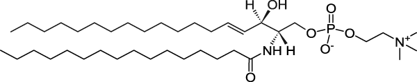 16:0 SM (d18:1/16:0)