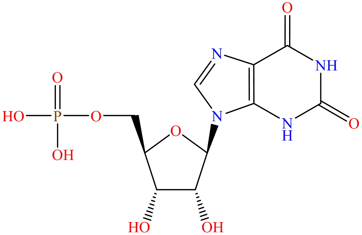 Xanthosine 5'-monophosphate; Xanthosine 5'-phosphate