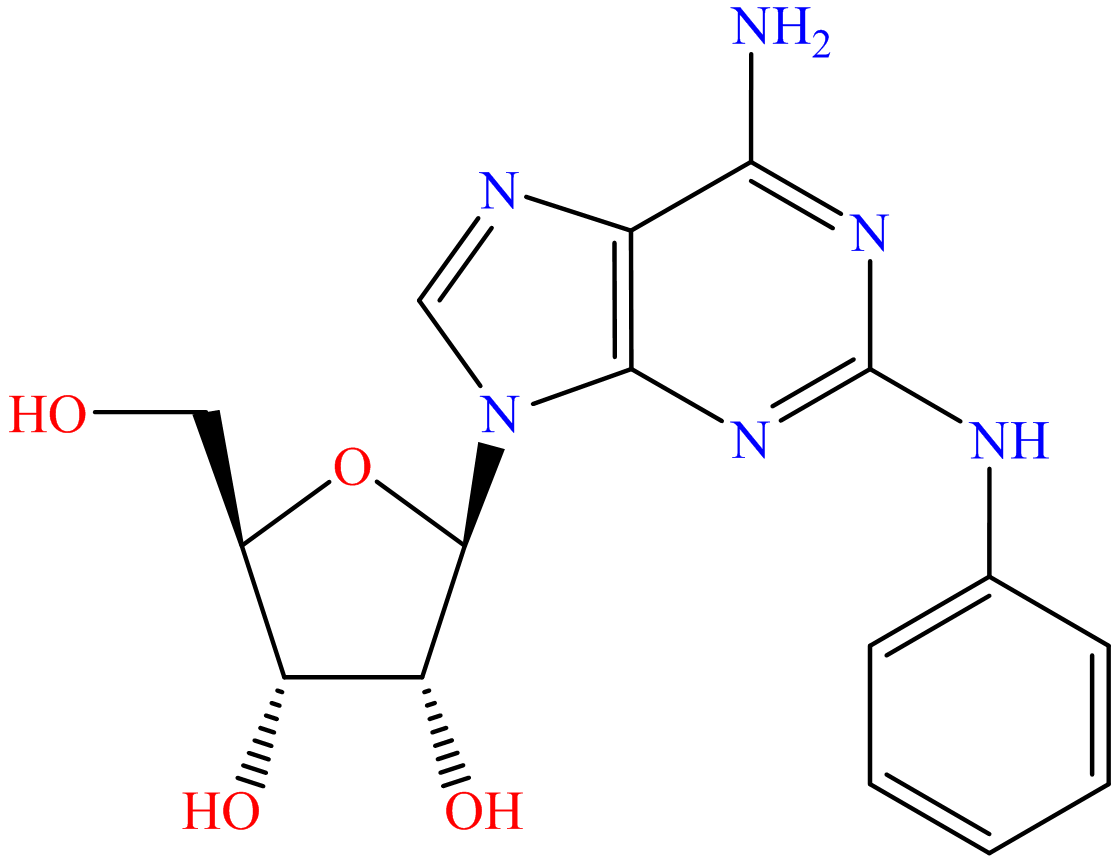 2-Phenylaminoadenosine