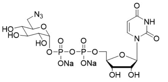 Uridine 5'-disphospho-6-azido-6-deoxy-D-glucose disodium salt