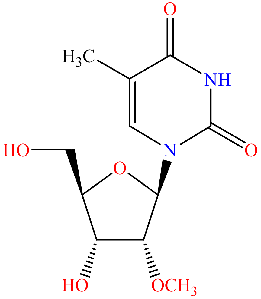 2'-O-Methyl-5-methyluridine