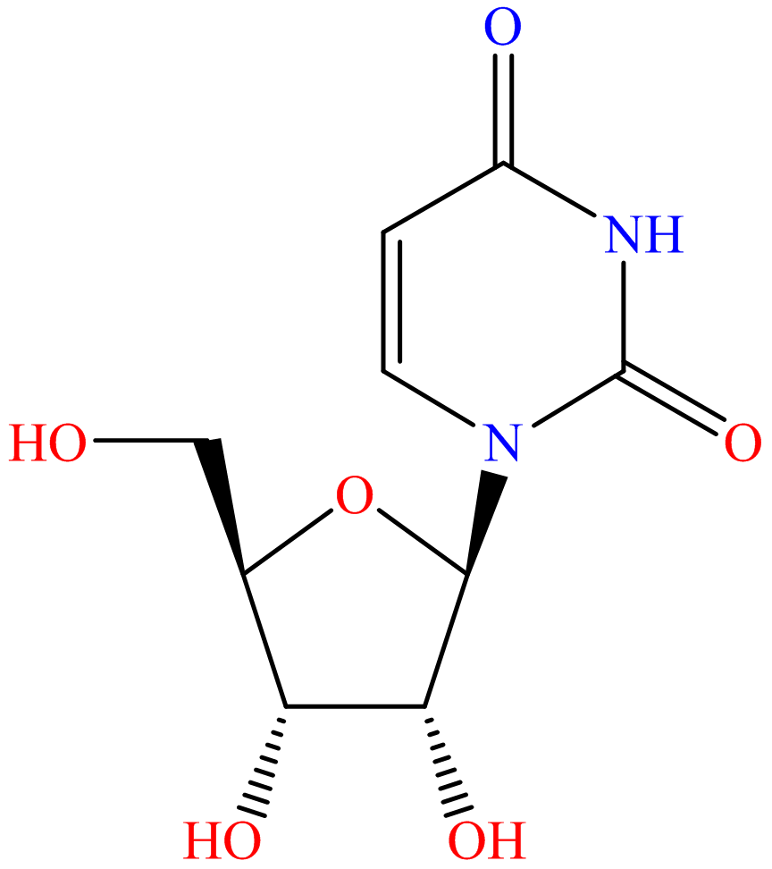 Uridine 