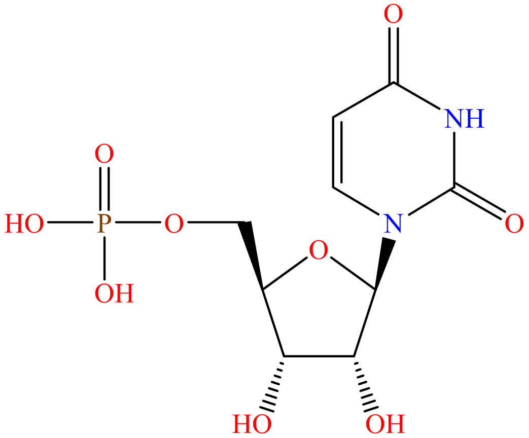 5'-UMP; UMP; Uridine 5'-monophosphate