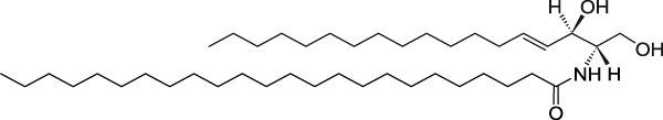 C24 Ceramide (d18:1/24:0)