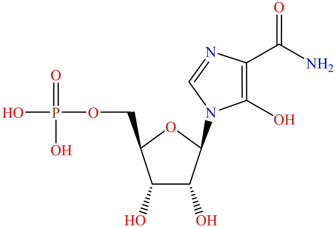 Bredinin 5'-monophosphate; Mizoribine 5'-monophosphate