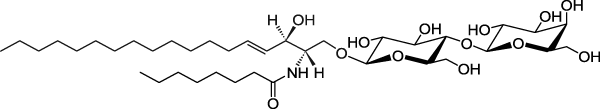 C8 Lactosyl(ß) Ceramide (d18:1/8:0)