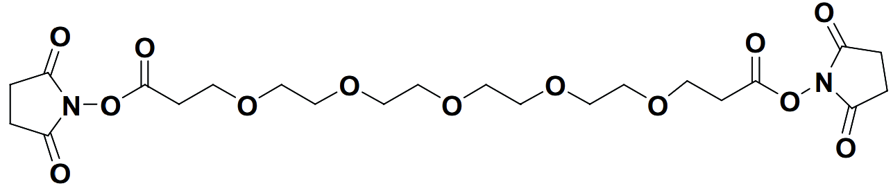 Bis-PEG5-NHS ester