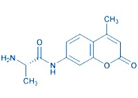 L-Alanine-7-amido-4-methylcoumarinhydrochloride;L-Ala-AMC·HCl