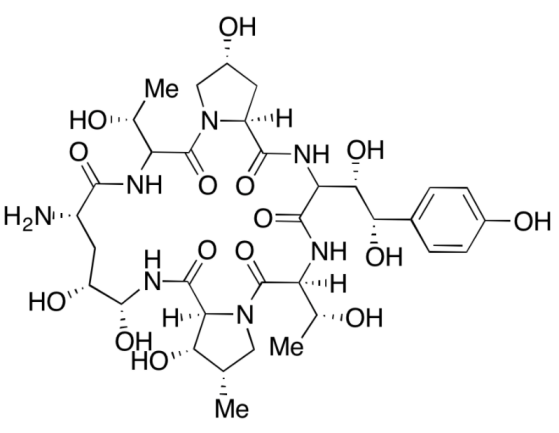 Echinocandin B0