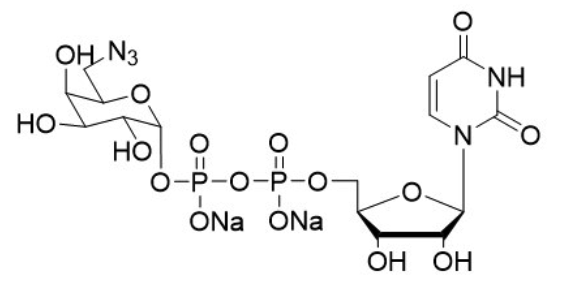 UDP-6-azido-6-deoxy-D-Gal.2Na