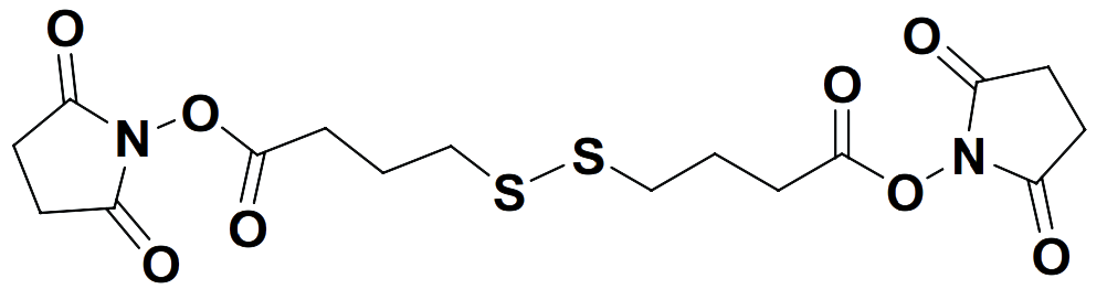 Bis(2,5-dioxopyrrolidin-1-yl) 4,4-disulfanediyldibutanoate