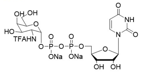 UDP-GalNTFA.2Na