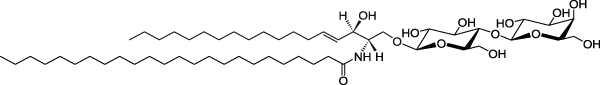 C24 Lactosyl(ß) Ceramide  (d18:1/24:0)