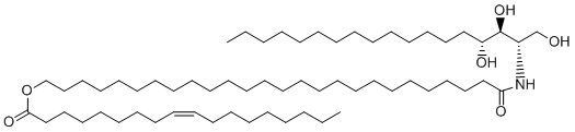 CER9 (t18:0/26:0/18:1)