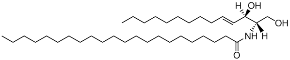 C22 Ceramide (d14:1/22:0)