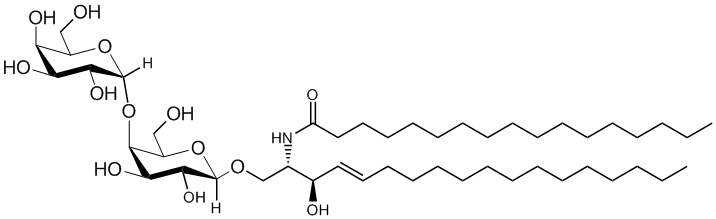 C17:0 GA2