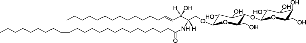 C24:1 Lactosyl(ß) Ceramide (d18:1/24:1)